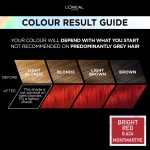L'Oréal Paris Permanent Hair Colour, Long-Lasting Shine and Intense Colour, For up to 8 Weeks, Preference Vivids (Colorista), Bright Red 8.624, x1 pack - Image 2