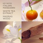 Elizabeth Arden White Tea Shower Gel 400ml - Image 3