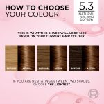 L'oreal Excellence Golden Brown 5.3 - Image 8